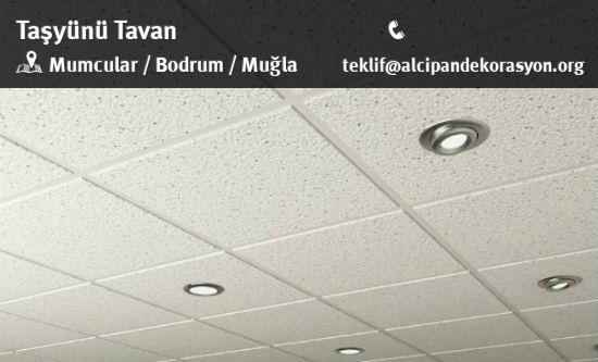 Bodrum Taşyünü Tavan Uygulama Çözümleri