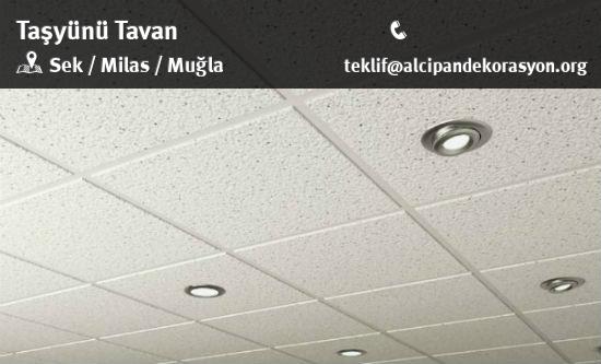 Milas Taşyünü Tavan Uygulama Çözümleri